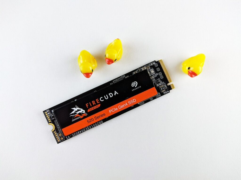 An M.2 SSd laid against a white background, while 3 rubber ducks are placed around it. Concept image for using a 500GB SSD or 256GB SSD.